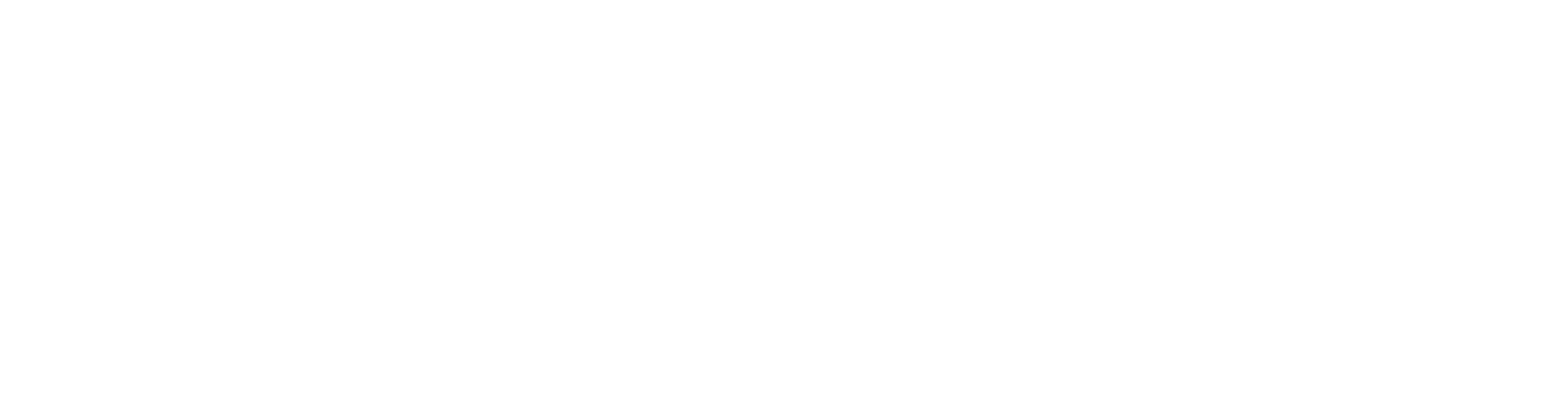 Symplicity Access