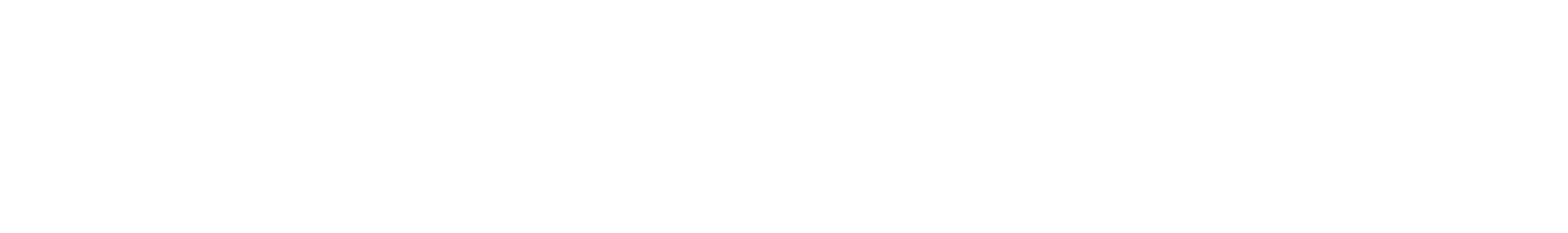 RapiTask Zero
