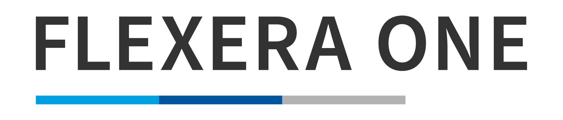 Flexera One