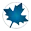 Maple