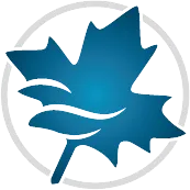 Maple Flow