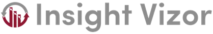 Insight Vizor