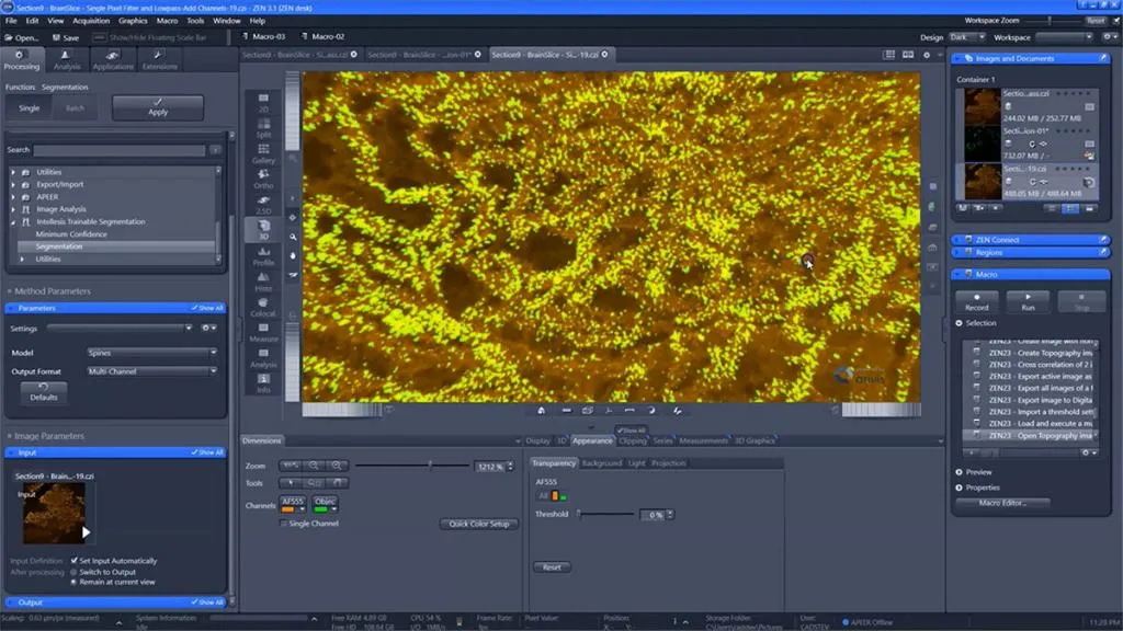 intellesis-video-preview.jpg
