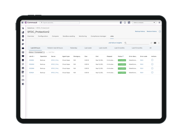 Capability-Salesforce-Backup_Accelerated-Productivity_1088x870.webp