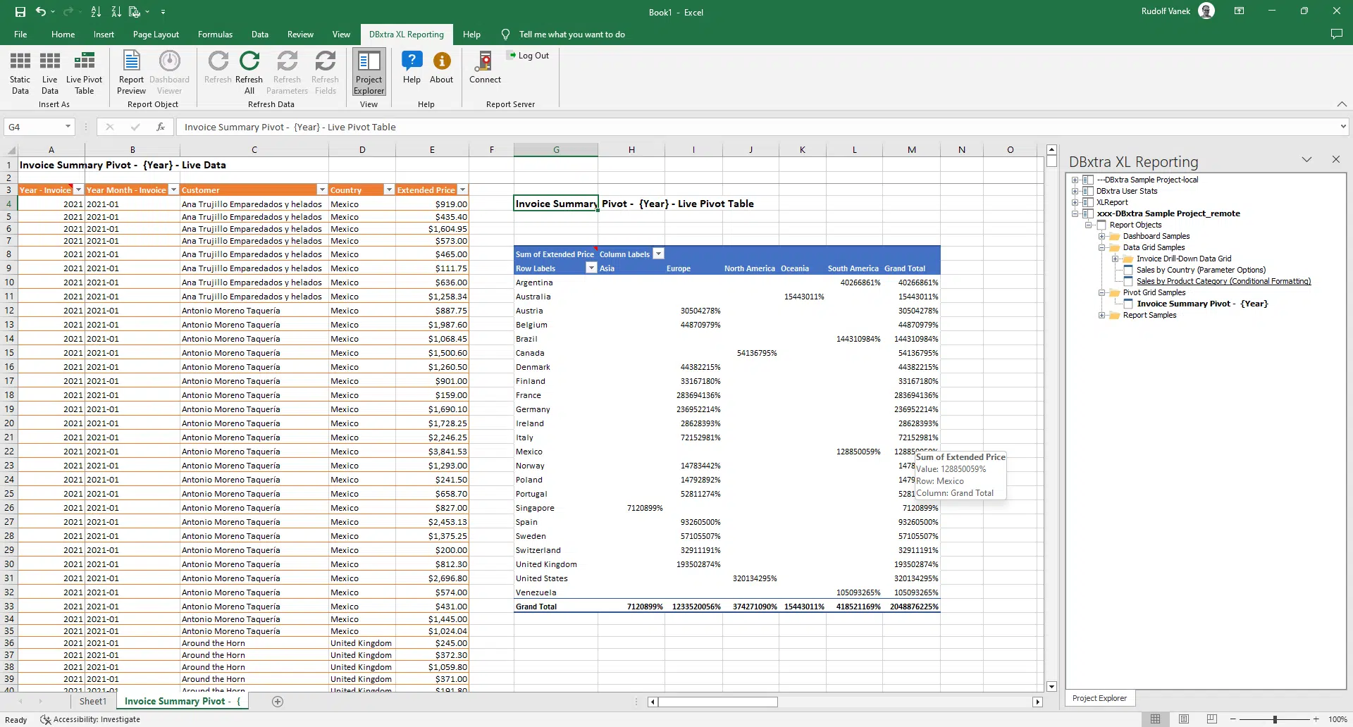 dbxtra-excel-reporting-service.png.webp