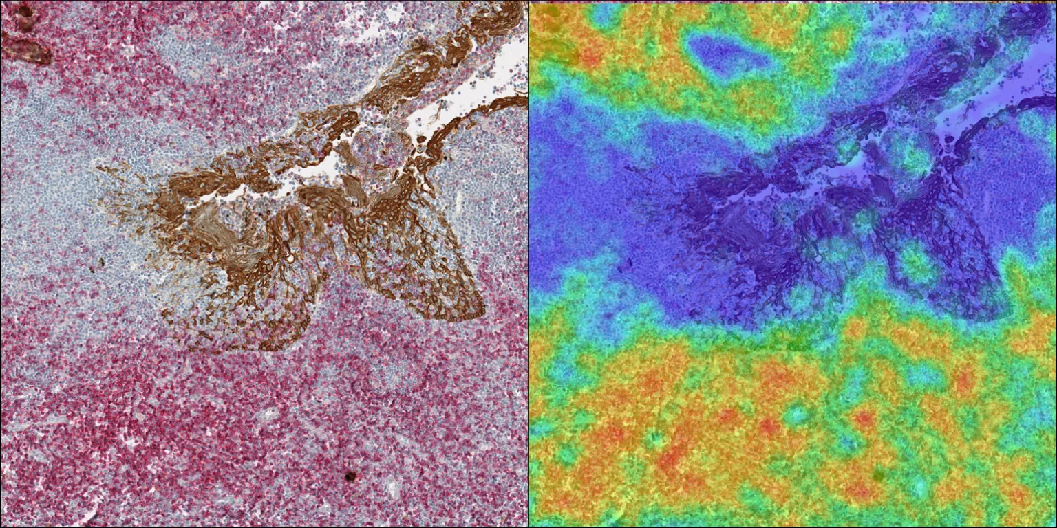 HALO-heat-map.16.9-e1709766704596-1536x768.png