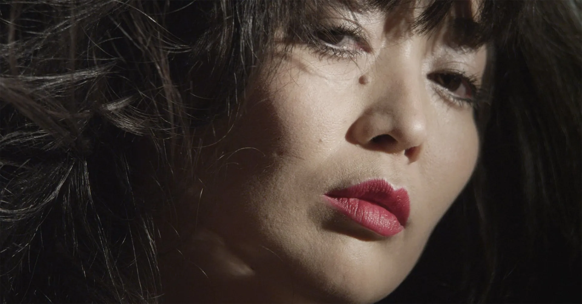 lustre-large-1920x1003.jpg