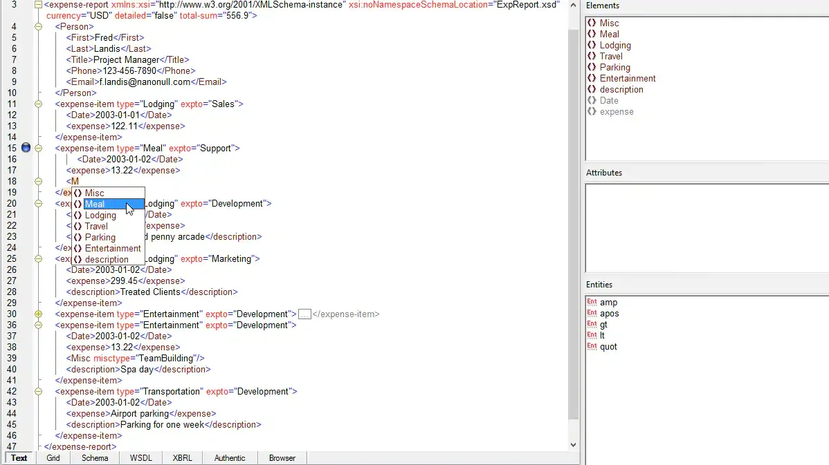 洋書　PROFESSIONAL XML SoftwareOne Marketplace - Altova XMLSpy