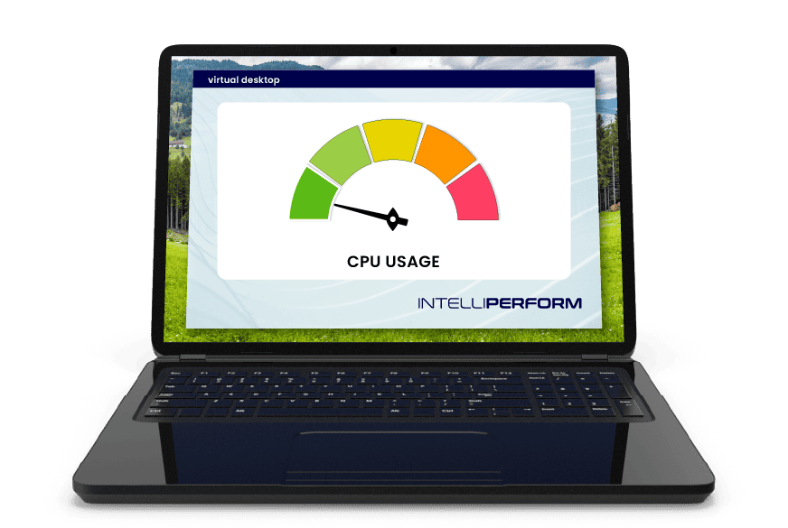 IP-MOCK1.webp