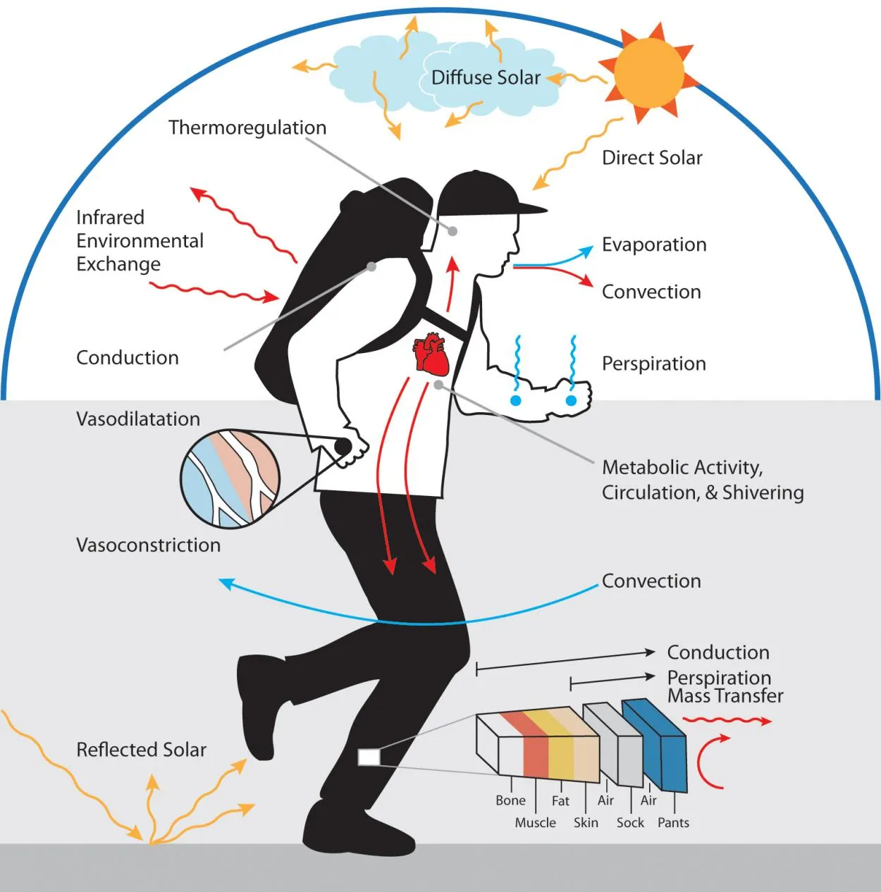 drawing-of-man-wearing-backpack-running-depicting-human-comfort-analysis-thermoregulation-solar-environmental-and-metabolic-activity.jpg