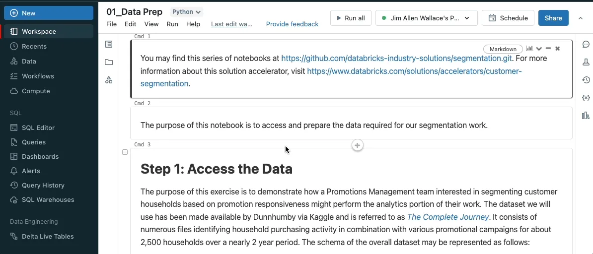 Databricks Notebooks2.gif