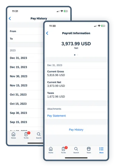 SAP SuccessFactors Employee Central Payroll4.png