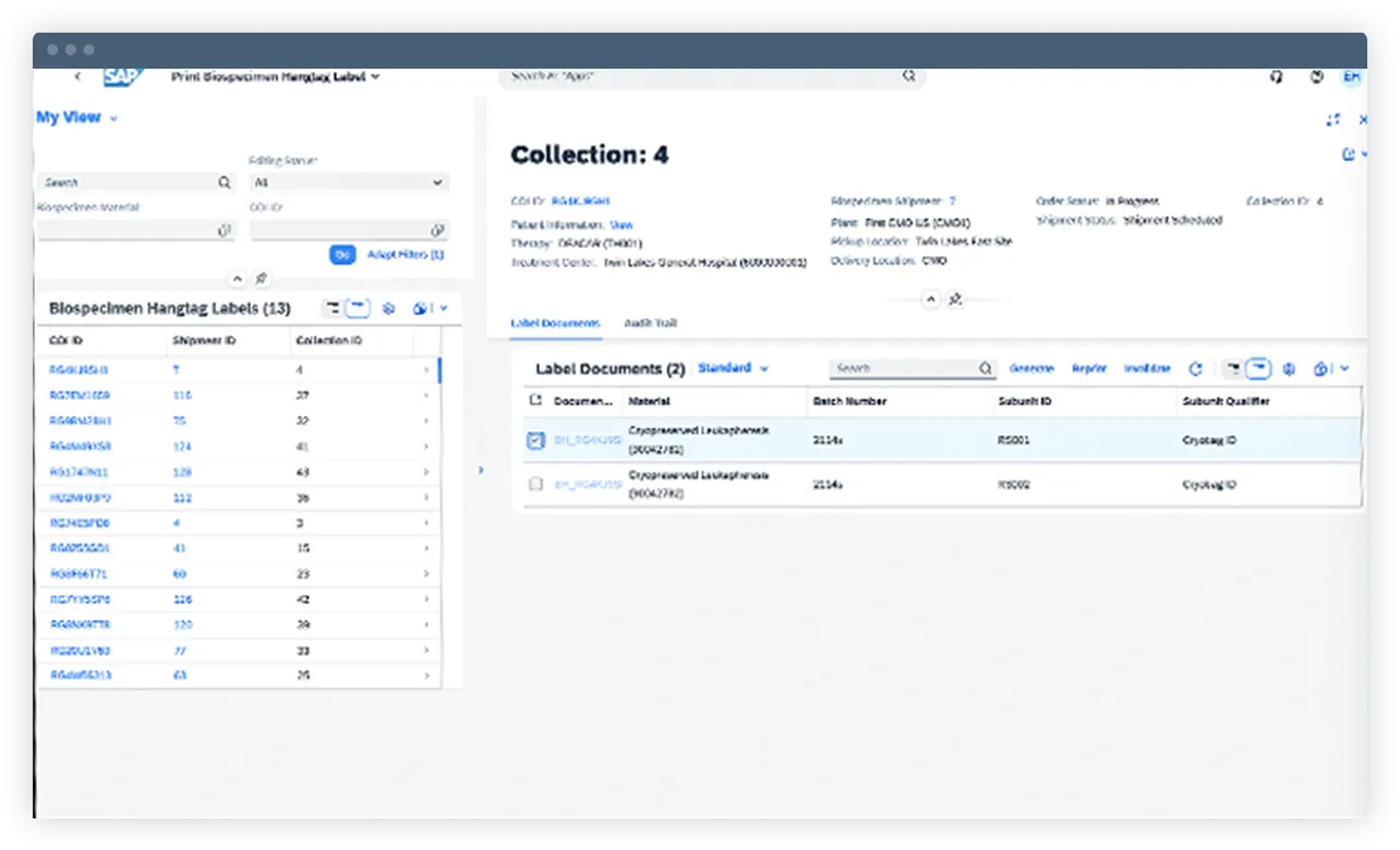 SAP Cell and Gene Therapy Orchestration3.png