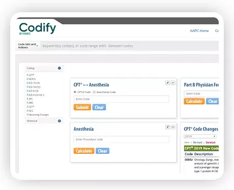 Codify4.png