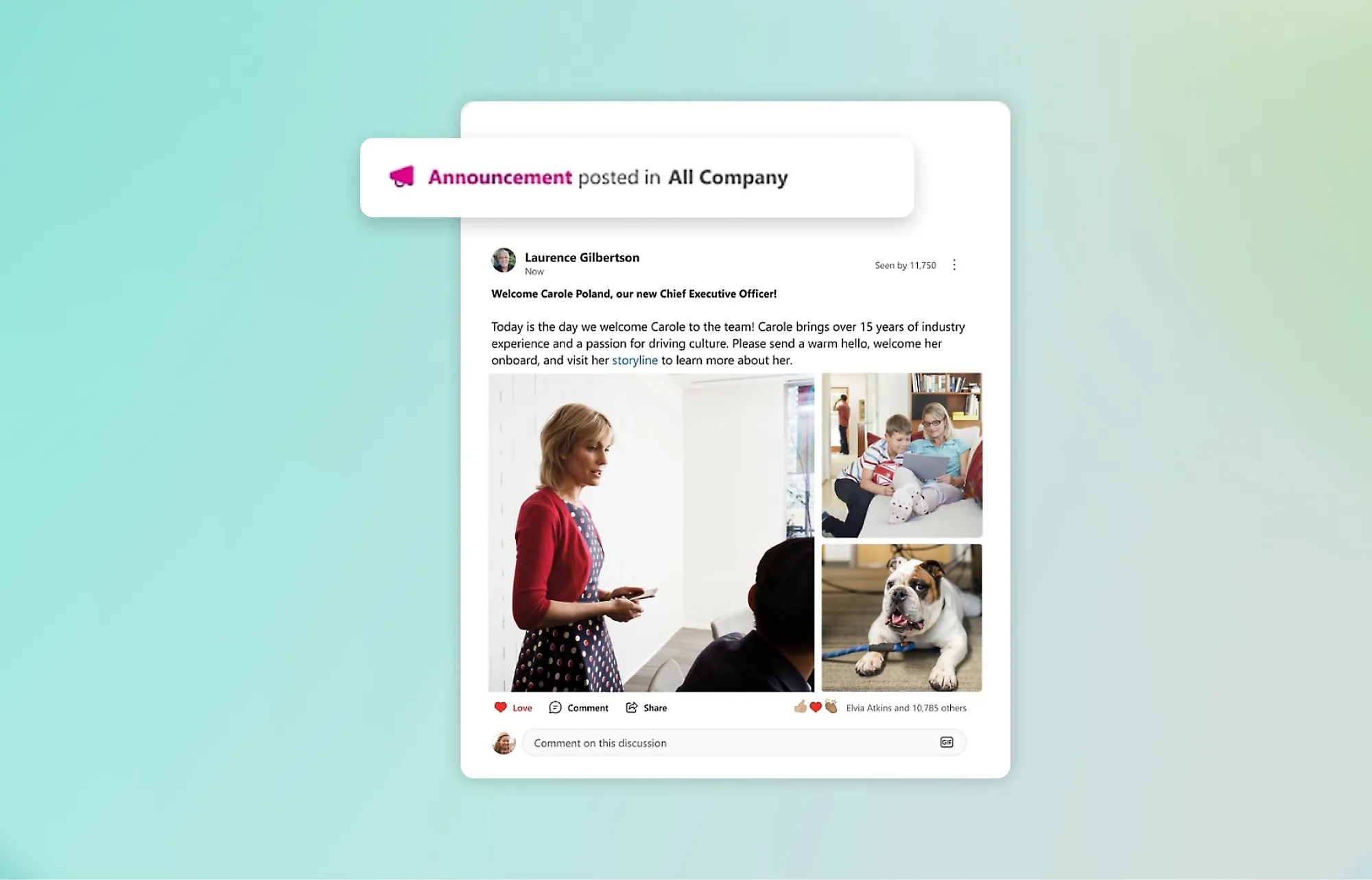 Accordion_1.3_800x513