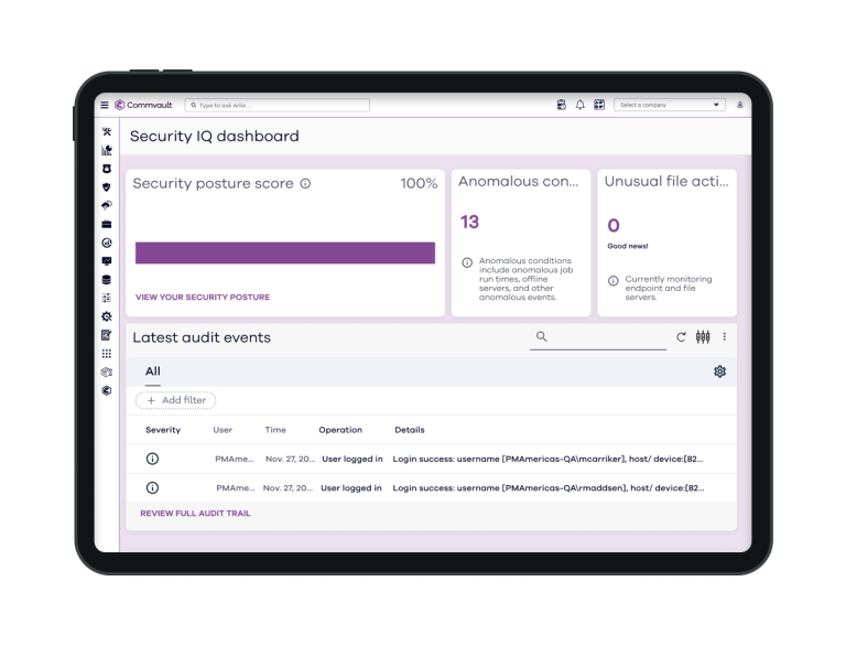 Capability-Metallic-AI_Detect-Risks_1088x870.webp