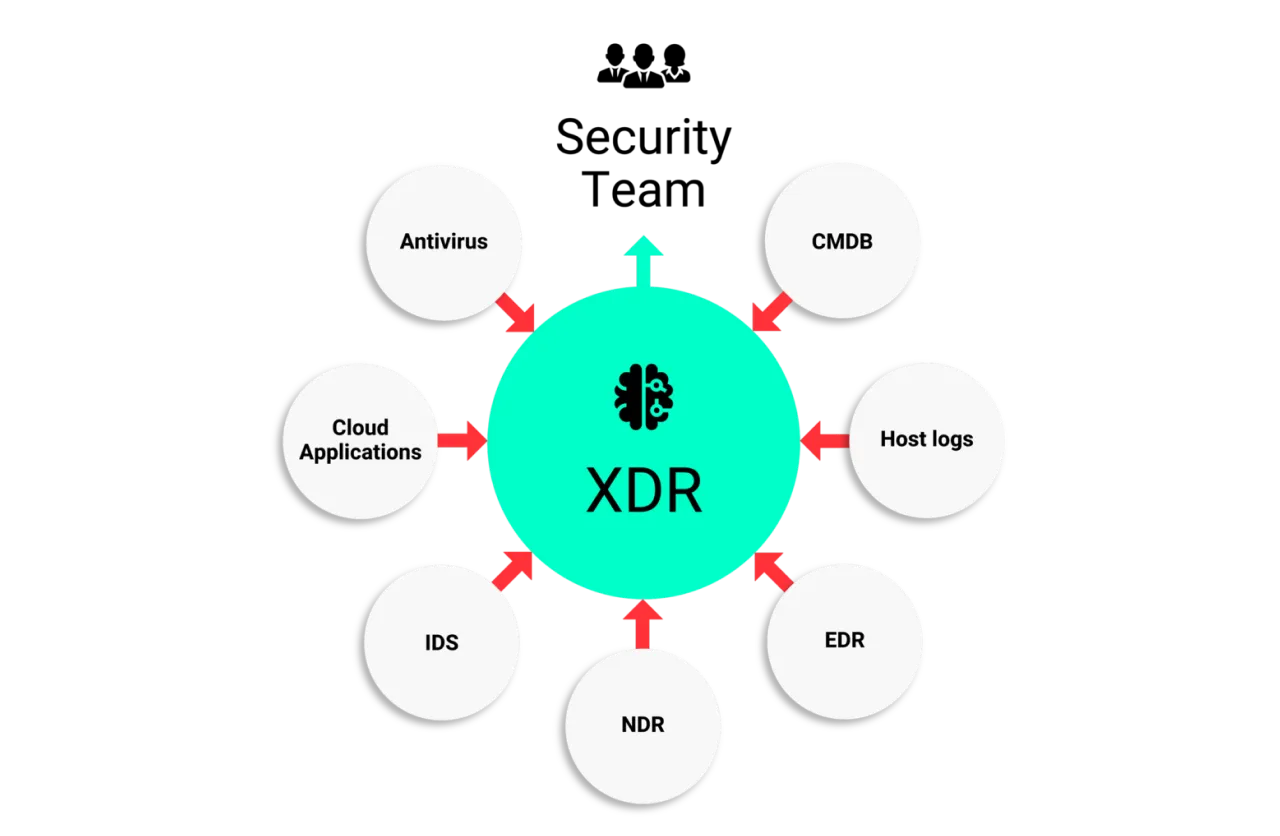 XDR - 2x.png