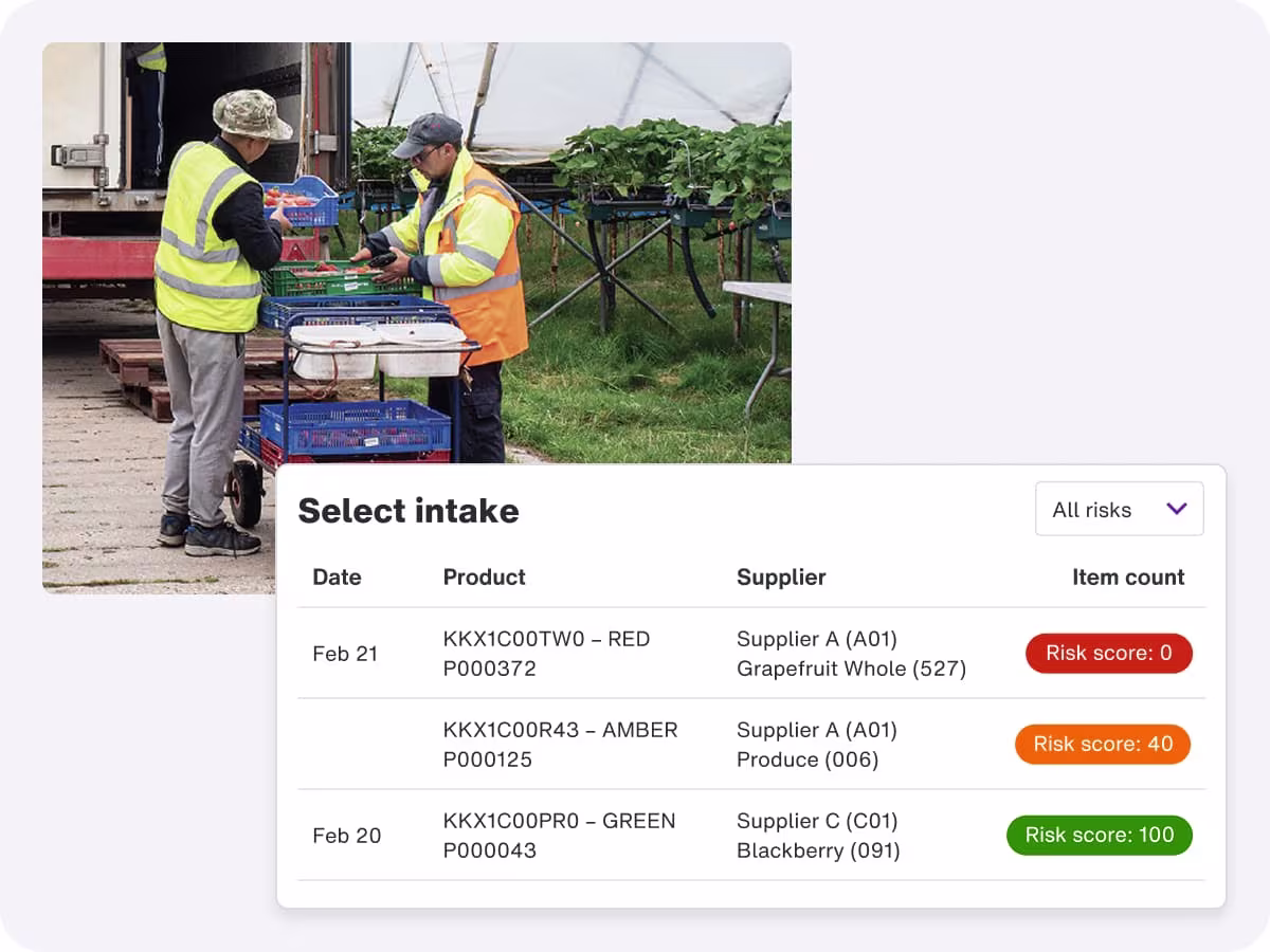 food-safety-software-data.avif