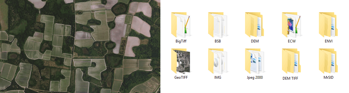 import.webp
