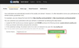 Customize-your-flipbook-URL-under-Your-Own-Domain.jpg