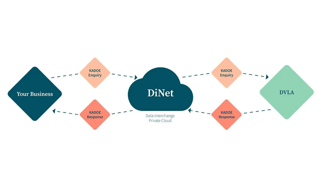 web_size_crop_JPG-dvla-kadoe-diagram.jpg
