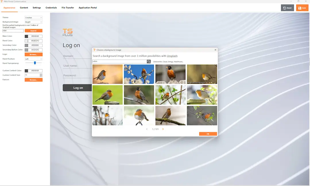 web-portal-customization.webp
