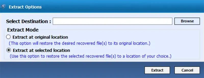 8.webp