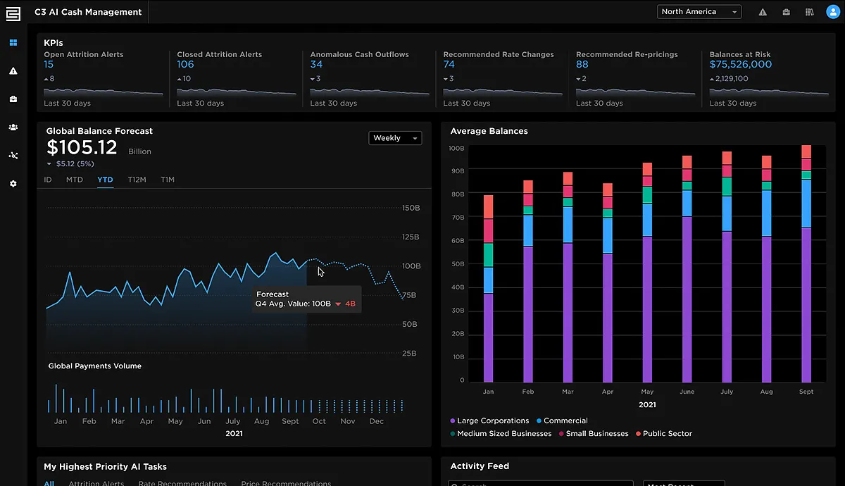 C3_AI_application_cash-management-screenshot.jpg