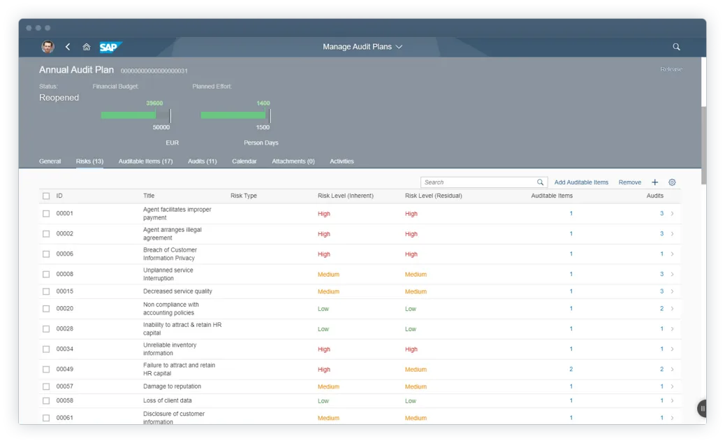 SAP Audit Management.png