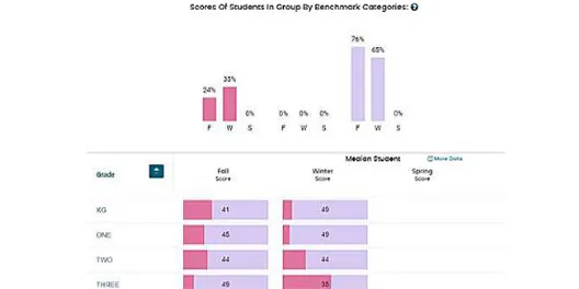 saebrs-screenshot-student-scores.webp
