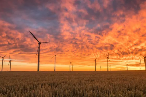 Image_Whitepaper_Supply Chain Decarbonization-f55e32bd.webp