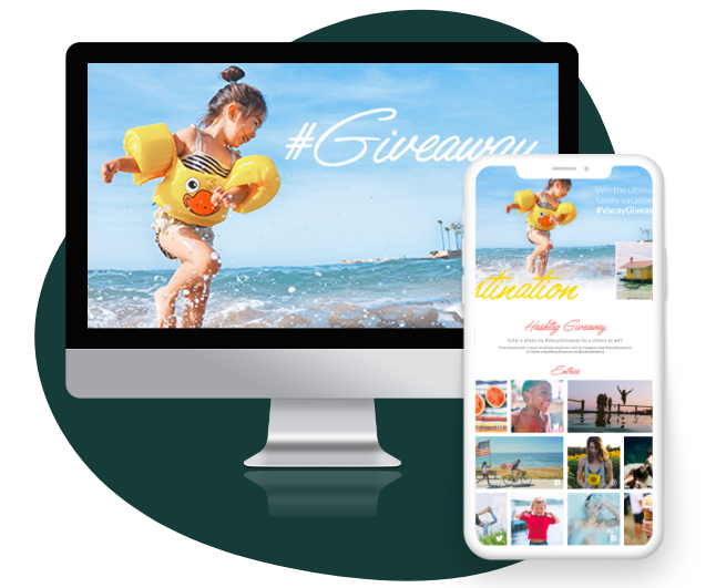 Cheetah_Feature1.webp