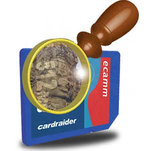 icon-cardraider.png
