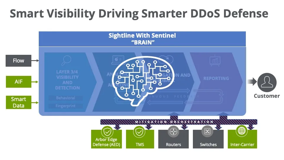 Sentinel_Brain_Smart_Visibility-960x540.jpg
