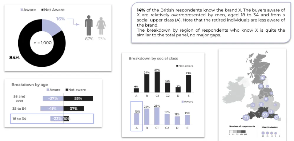 Lizeo-Insights-Survey.png