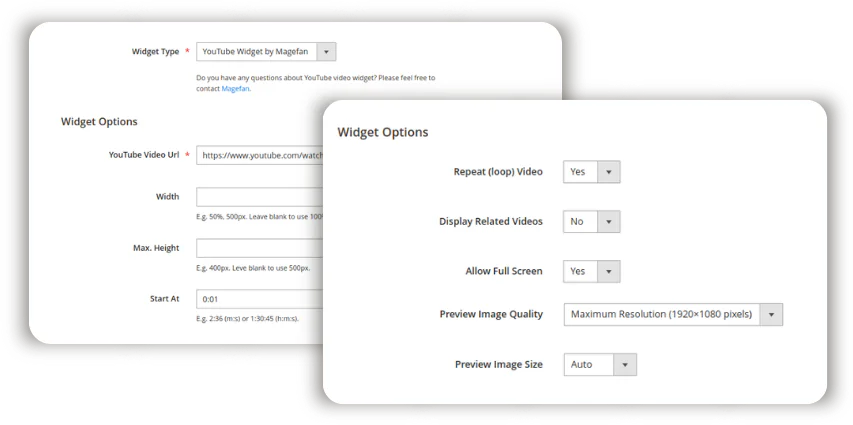 magento-youtube-video-options.webp