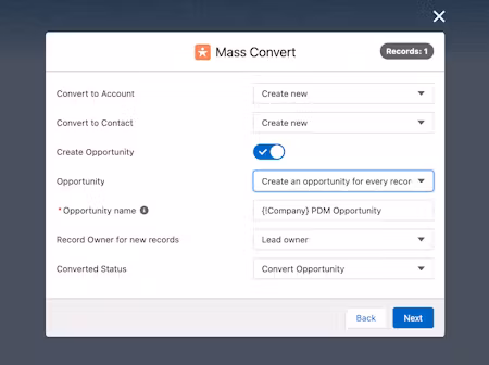 mass_convert_salesforce.avif