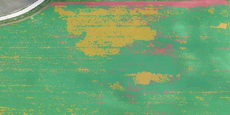 HD_img4_Crop_Monitoring_after.png