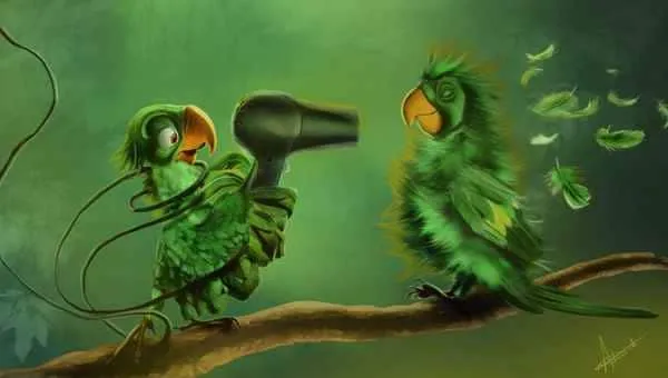 Adnan-Tezerdi_parrots-final-signatured-1024x581.jpg