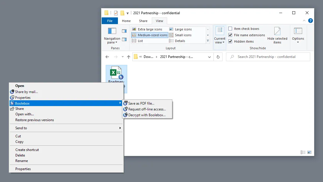 FileEncryptorWindows-website01.jpg