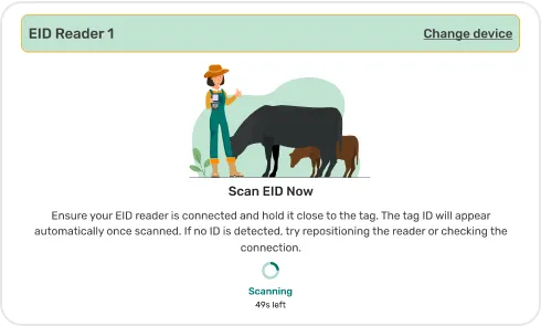 RFID-Identification.webp