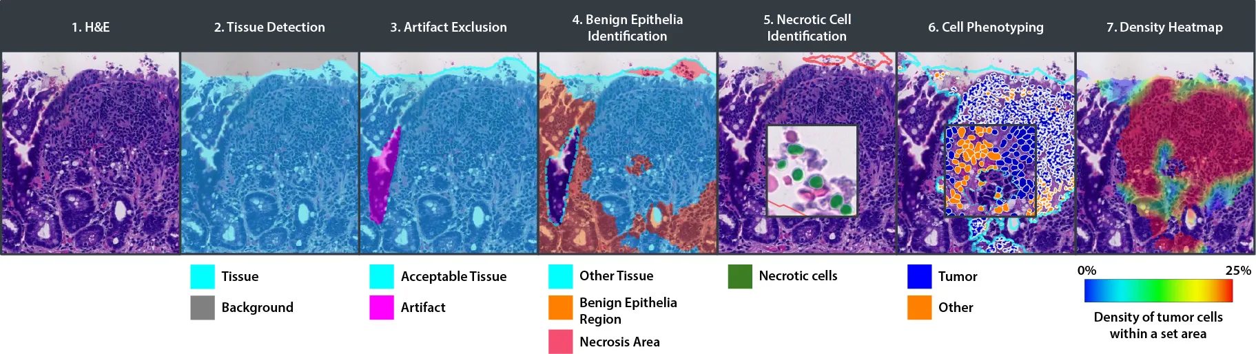 CRC-Macrodissect-Validation-Data-Figure-Image-2.jpg