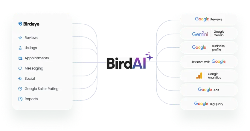 bird-ai-v1.png