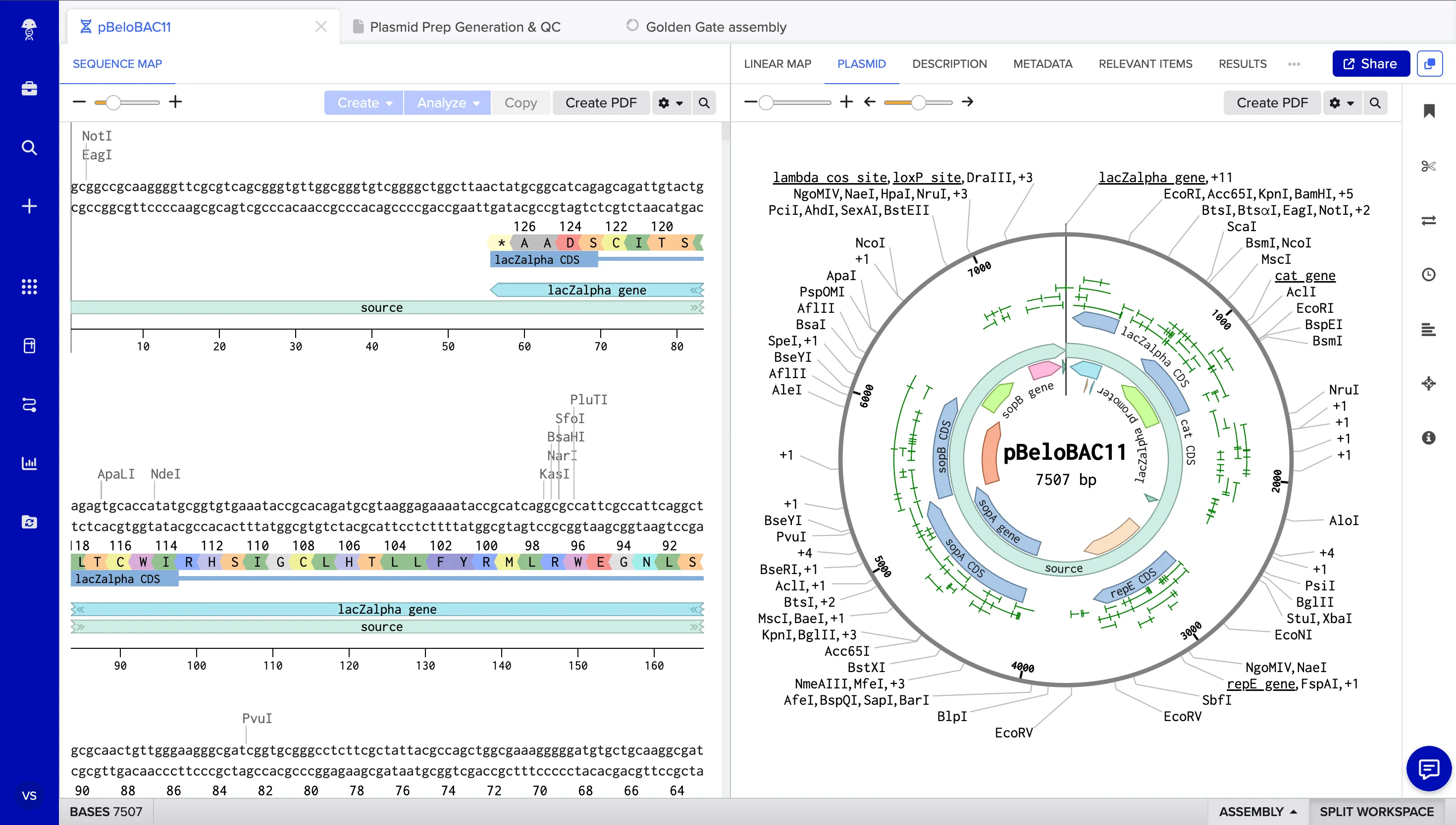 Bioresearch_Plasmid_Annotation.png