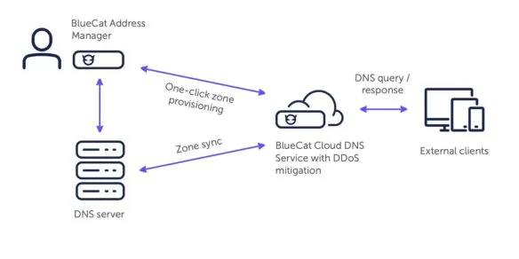 bluecat_diagram_cloud_dns_service-584x292.jpg