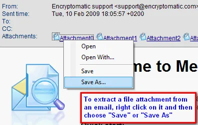 email-viewer-extract-attachment.gif