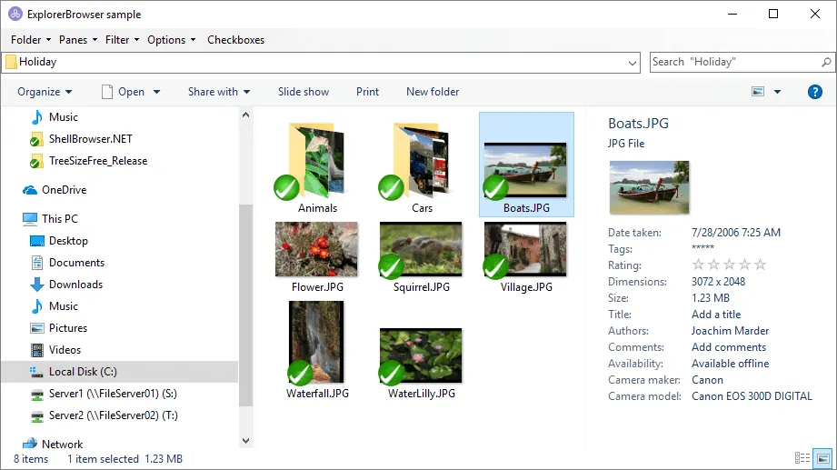 ExplorerBrowserSample.png