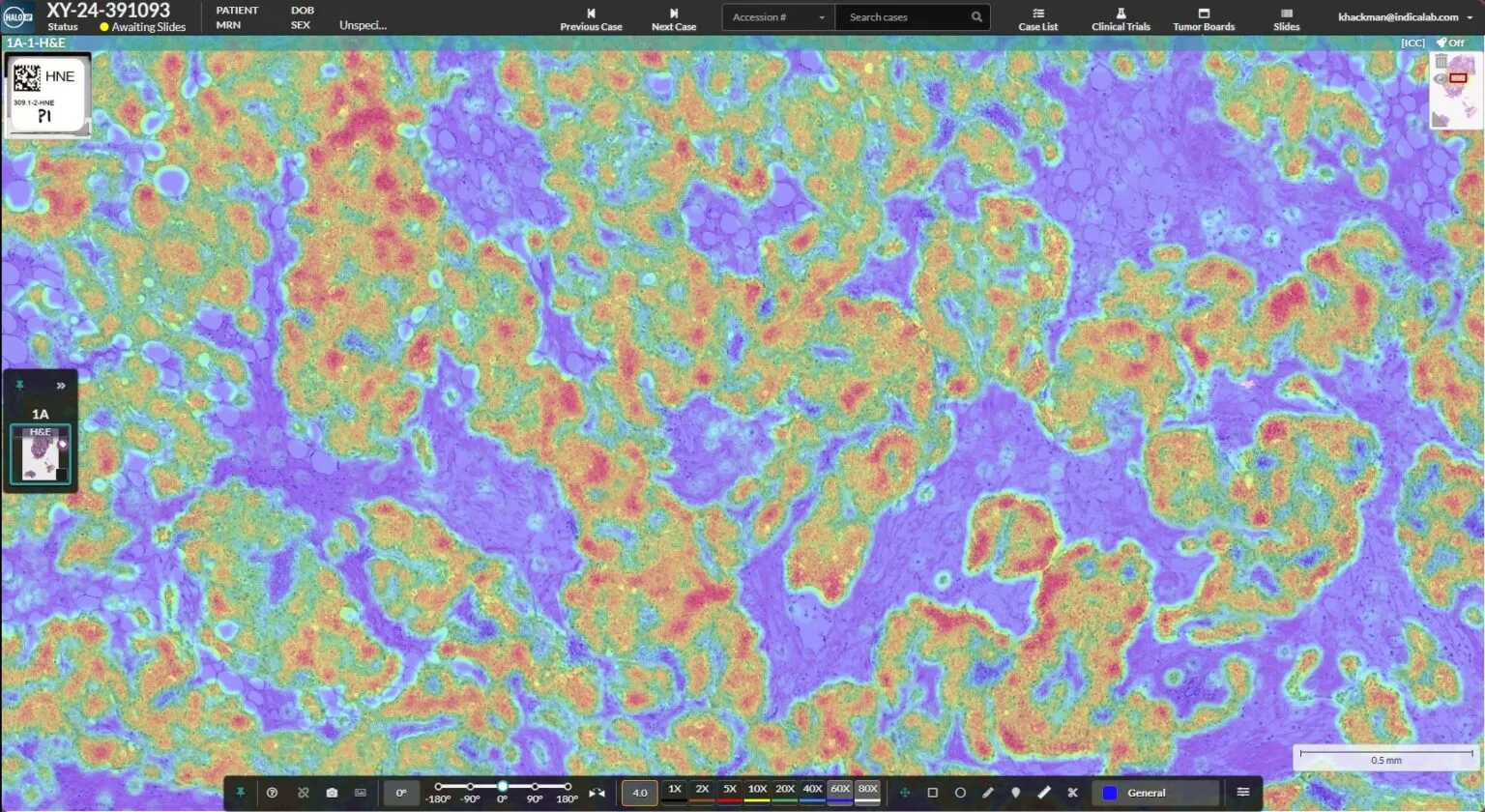 AI-Heatmap-1536x840.jpg