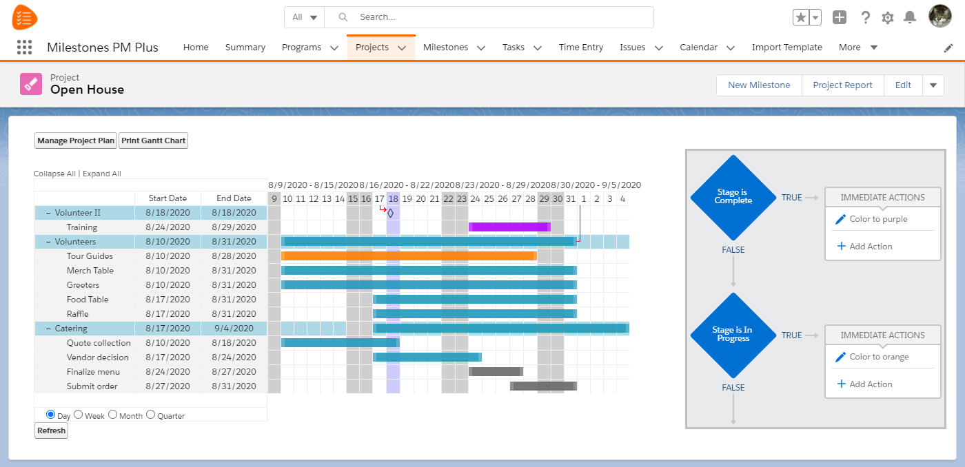 Salesforce-Process-Builder_Milestones-PMplus_project.webp