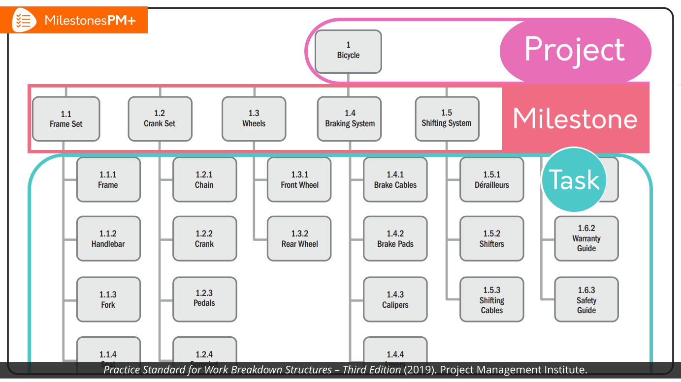 PM-structure_Program.webp